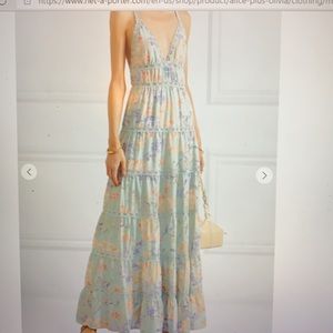 Alice and Olivia Karolina floral chiffon maxi